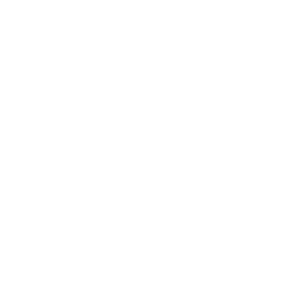 Lanner Capital