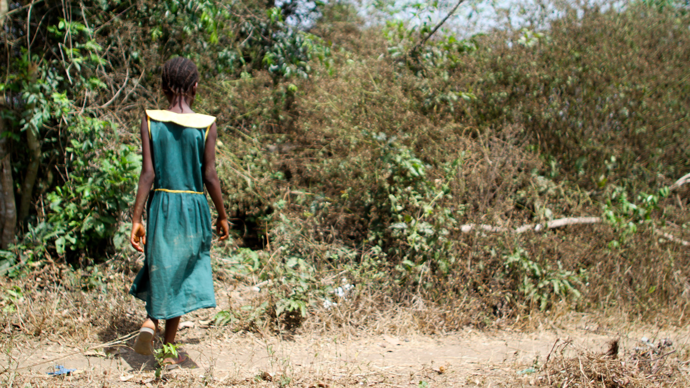 Ramatu was bitten by a snake when going to the toilet in bushes .