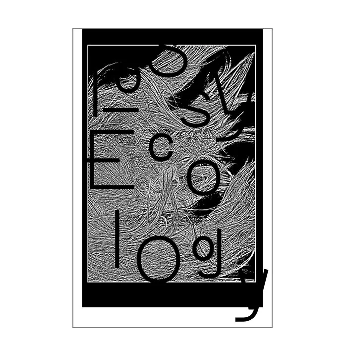 Lossy Ecology [book]