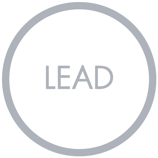 LEAD.png