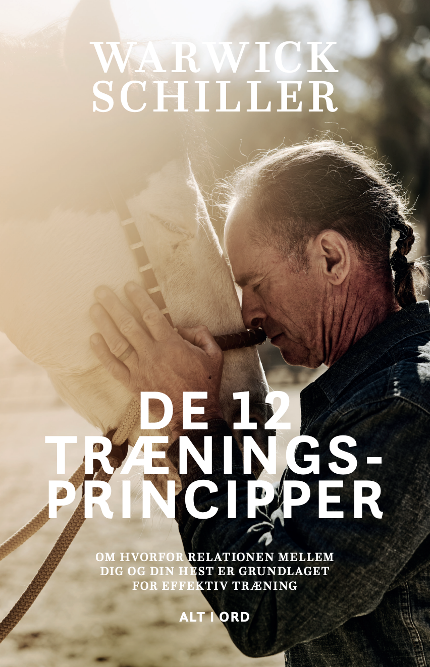 Skærmbillede 2025-11-16 kl. 11.53.12.png