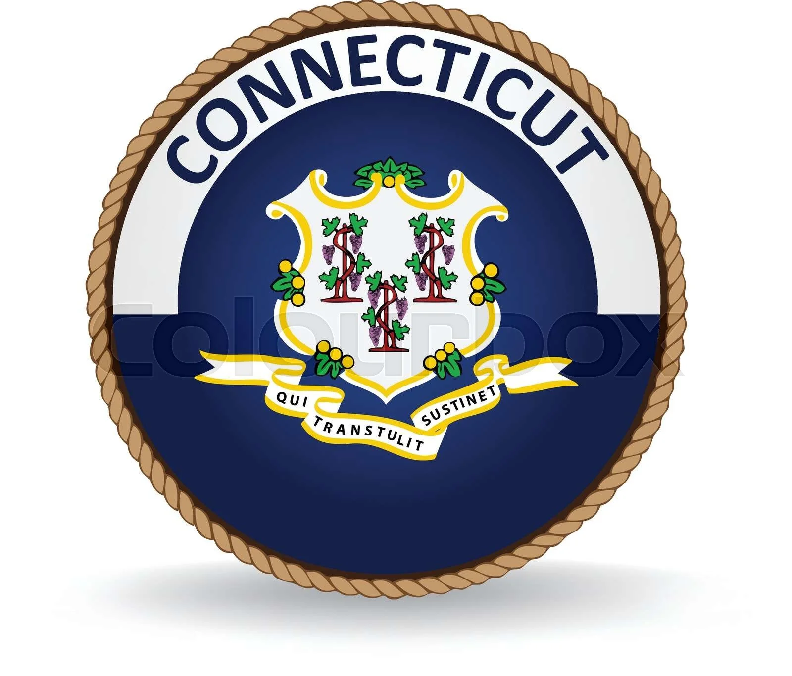 State of CT.jpg