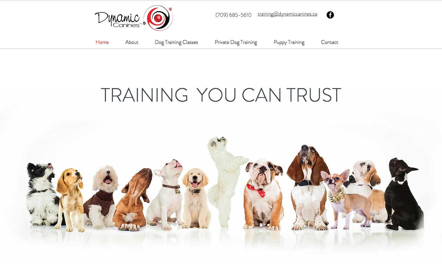 Dynamic Canines