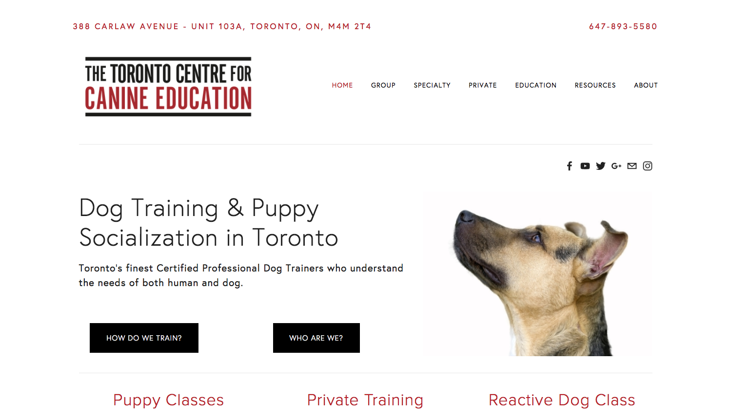 The Toronto Centre for Canine Education