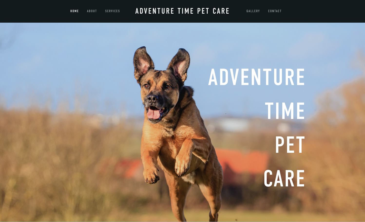 Adventure Time Pet Care