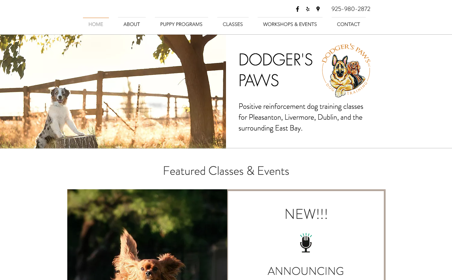 Dodger's Paws