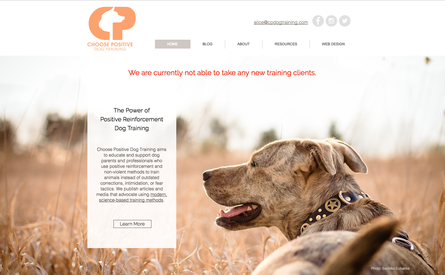 Choose Positive Dog Training