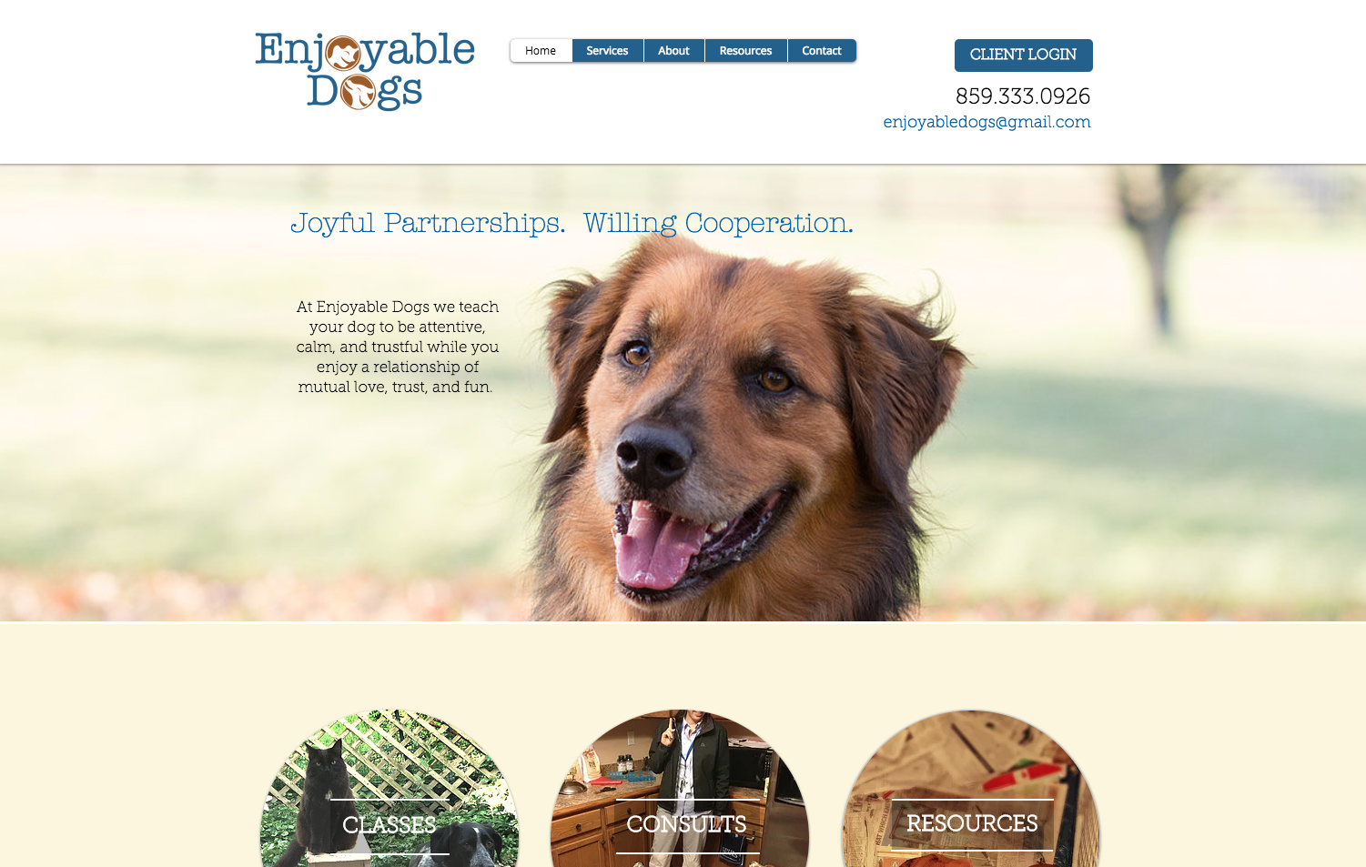 Enjoyable Dogs