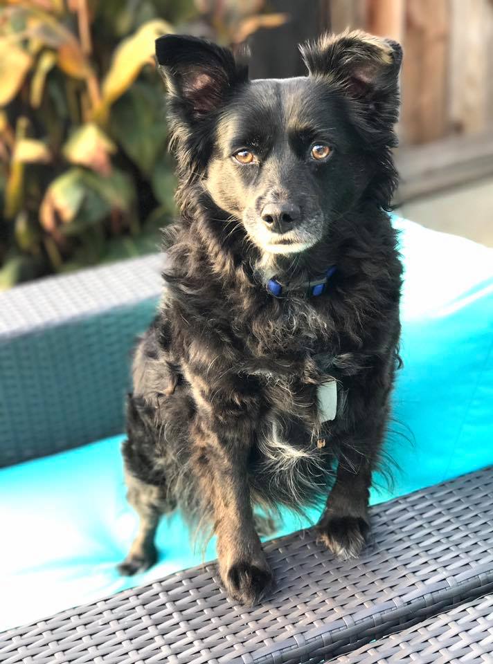 Lance aka Lancie Pants