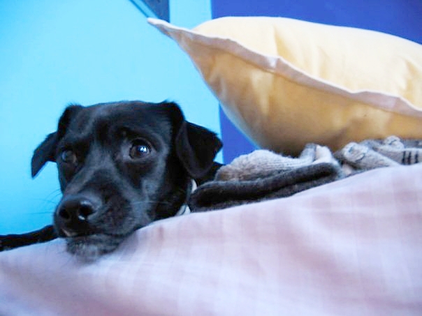 Momo lived in New York with me for 2 years when I went to grad school.