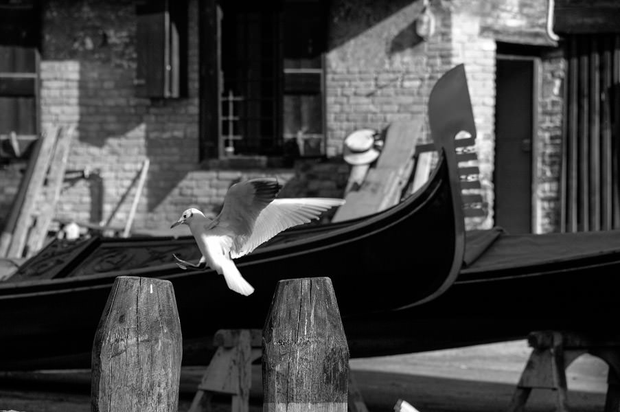Photo-Tour-Venice-gondola.jpg