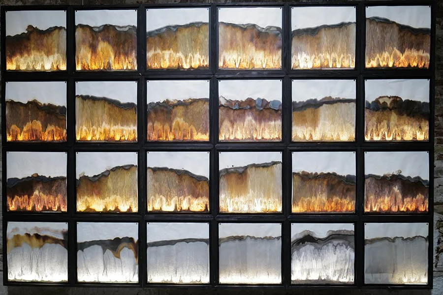 19e Biennale Architecture de Venise