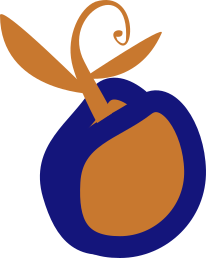 seed.png