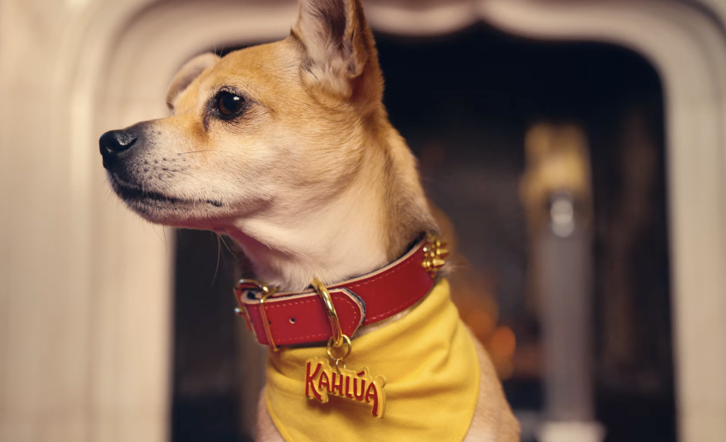 Screenshot 2026-01-08 at 3.07.31 PM.png