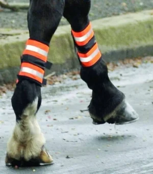 leg boots 2.jpg