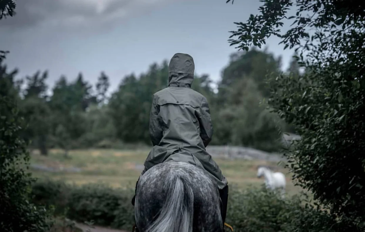 Picture is from the 2018 Trench coat/will update with 2019 model when they arrive