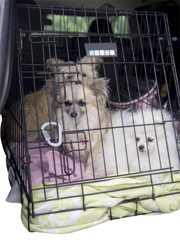Dogs cage LOOP LOCK s.jpg