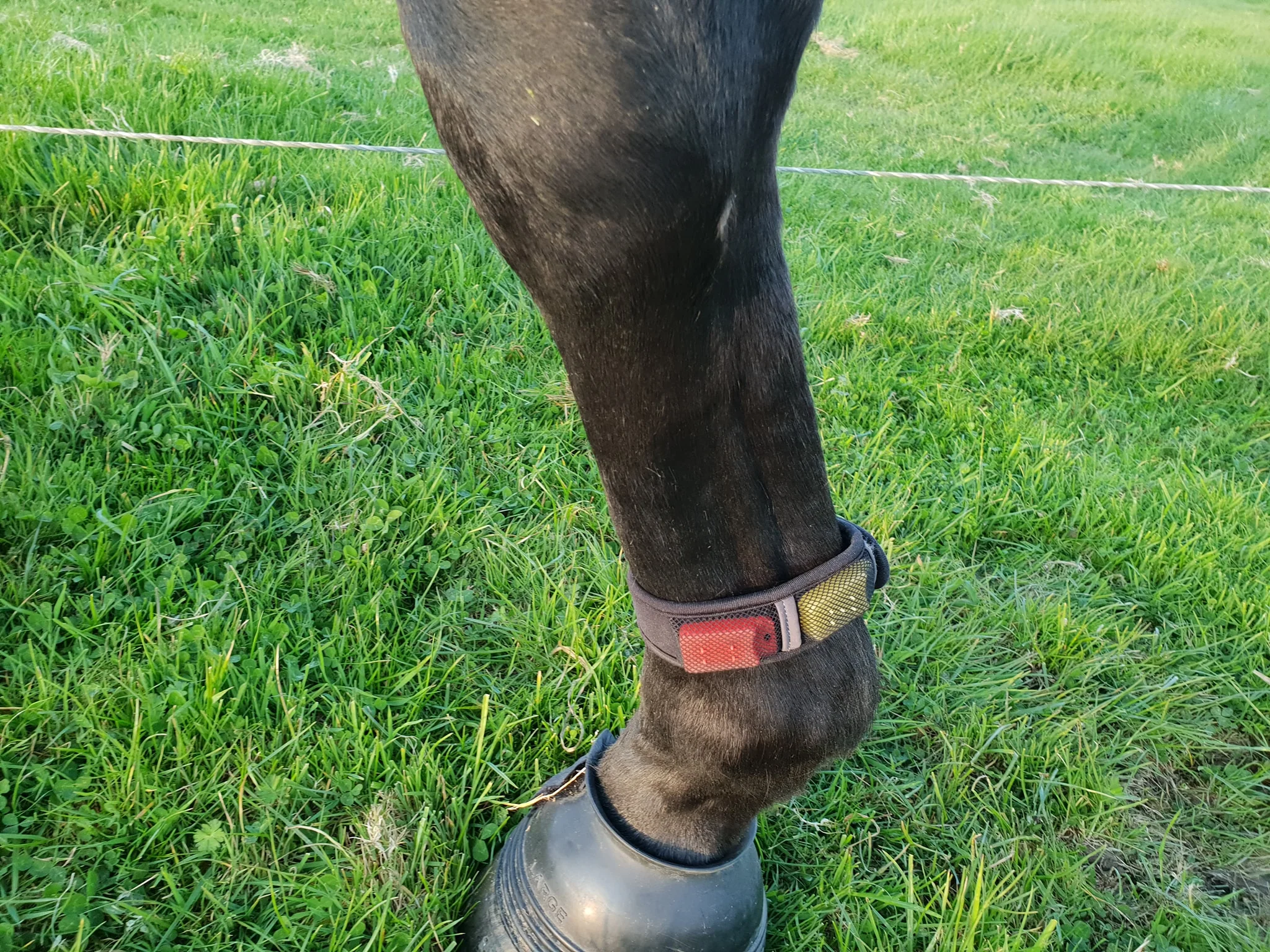 2 leg strap ideas.jpg
