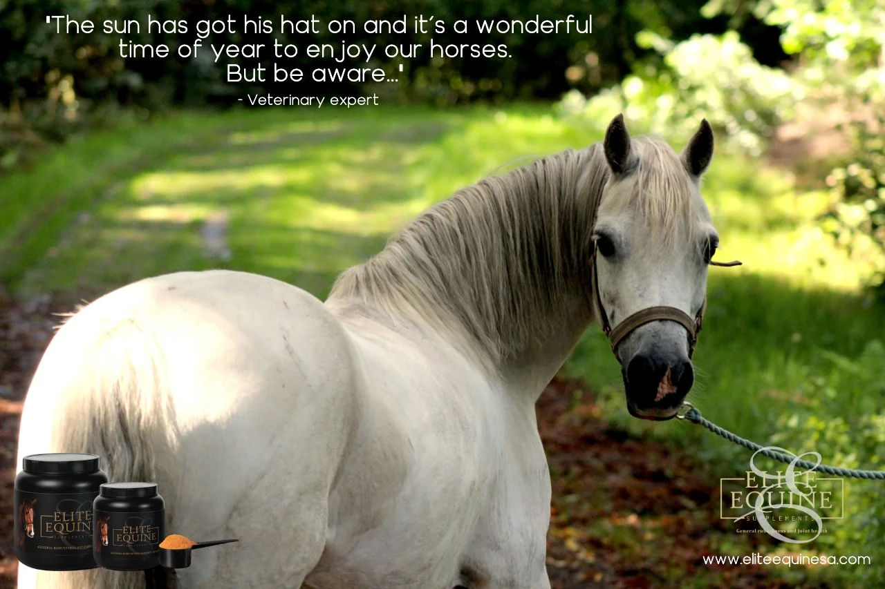 24+May+2019+-+Elite+Equine+and+hoof+care+in+summer.jpg