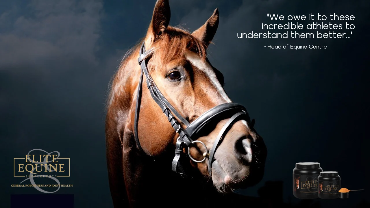 ELITE EQUINE and Fatigue Failure in horses - 15 July 2019.jpg