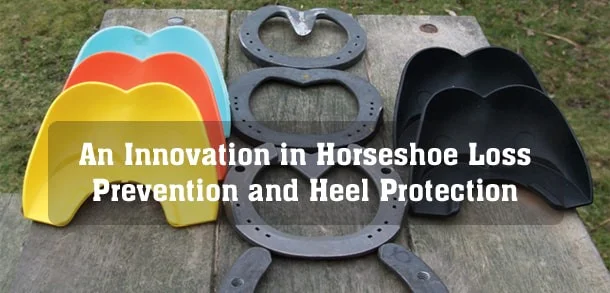 Shoesecure.jpg