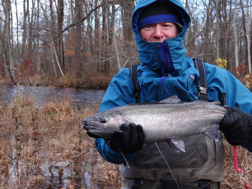 Steelhead 2017.jpg