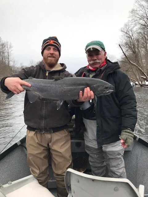 Steelhead feb 1.JPEG