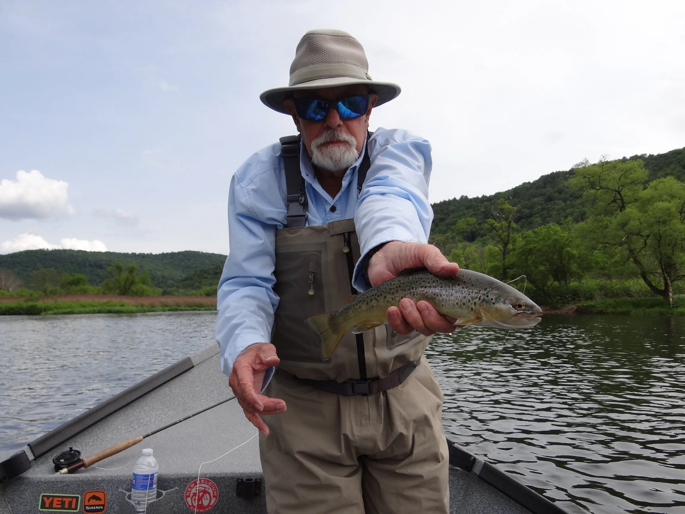 Delaware Brown 1.JPG