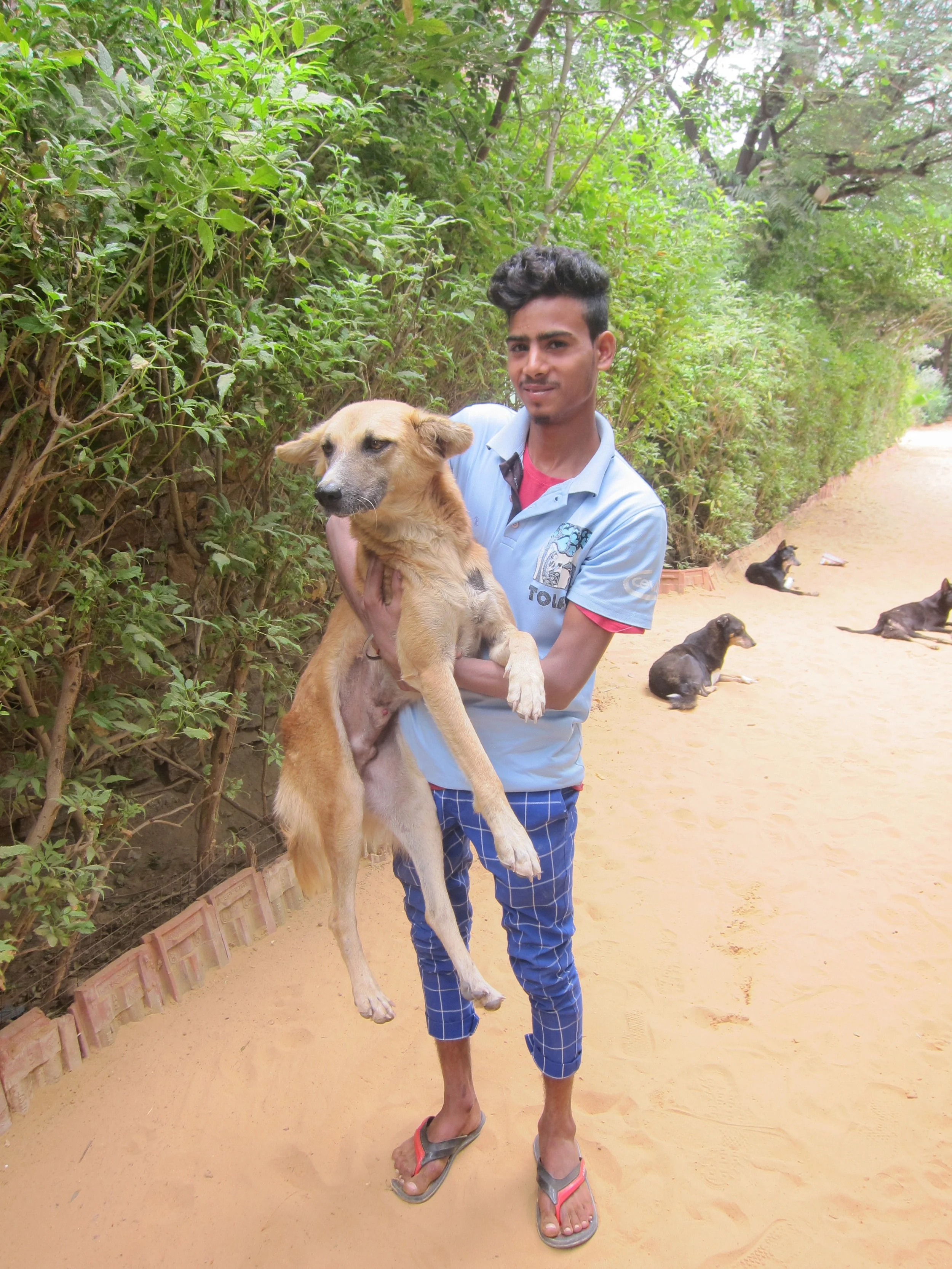 Our third Trainee, Radhesh