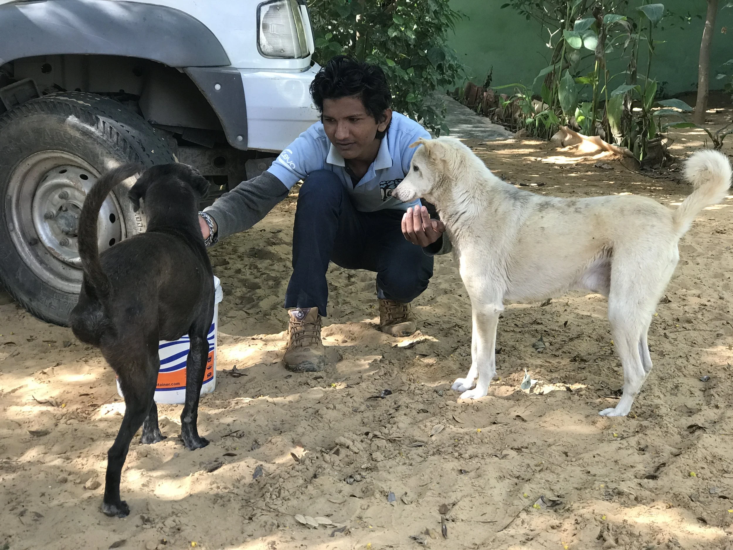 Ghanu Shines His Light