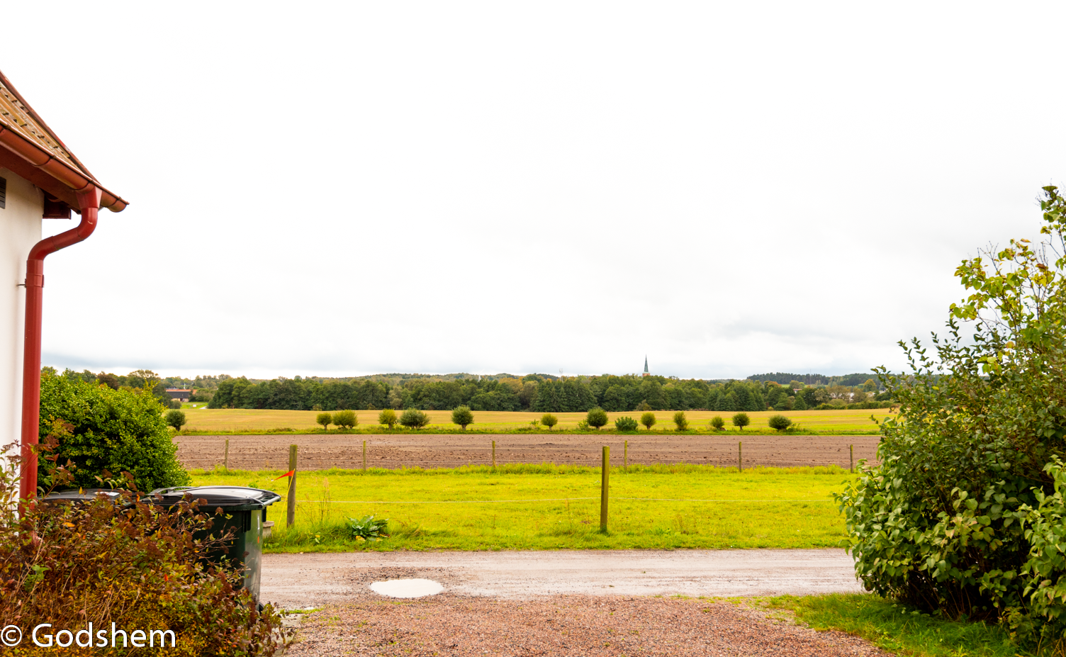 20210930-DSC_6184.png
