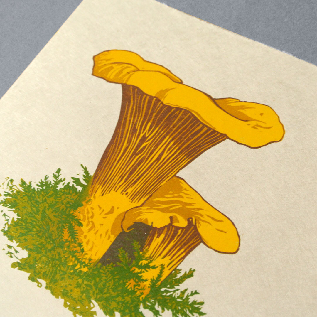 Chanterelle