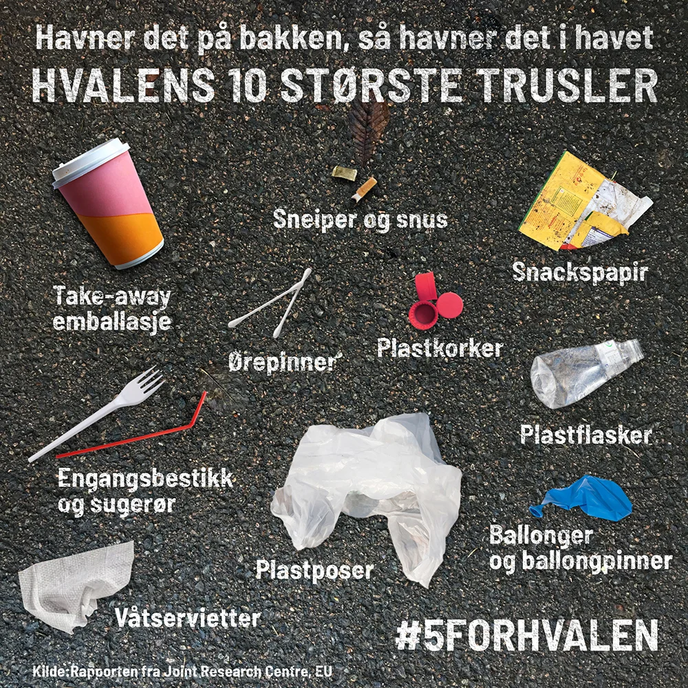 #5forhvalen_topp_10_SoMe (1) (1).jpg