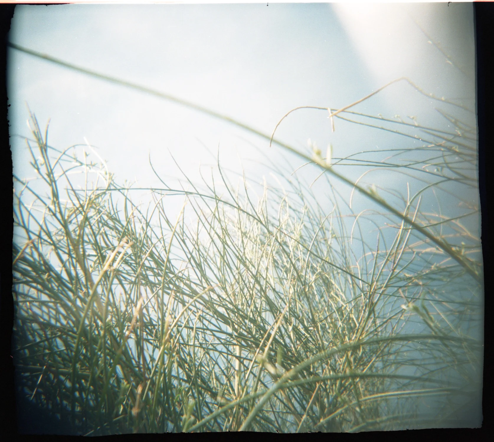 5:18:11 scans044.jpg