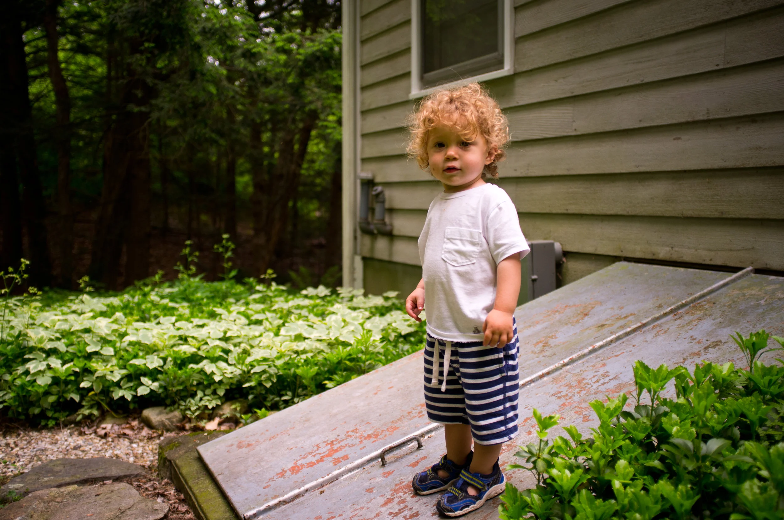 DSCF1312.jpg