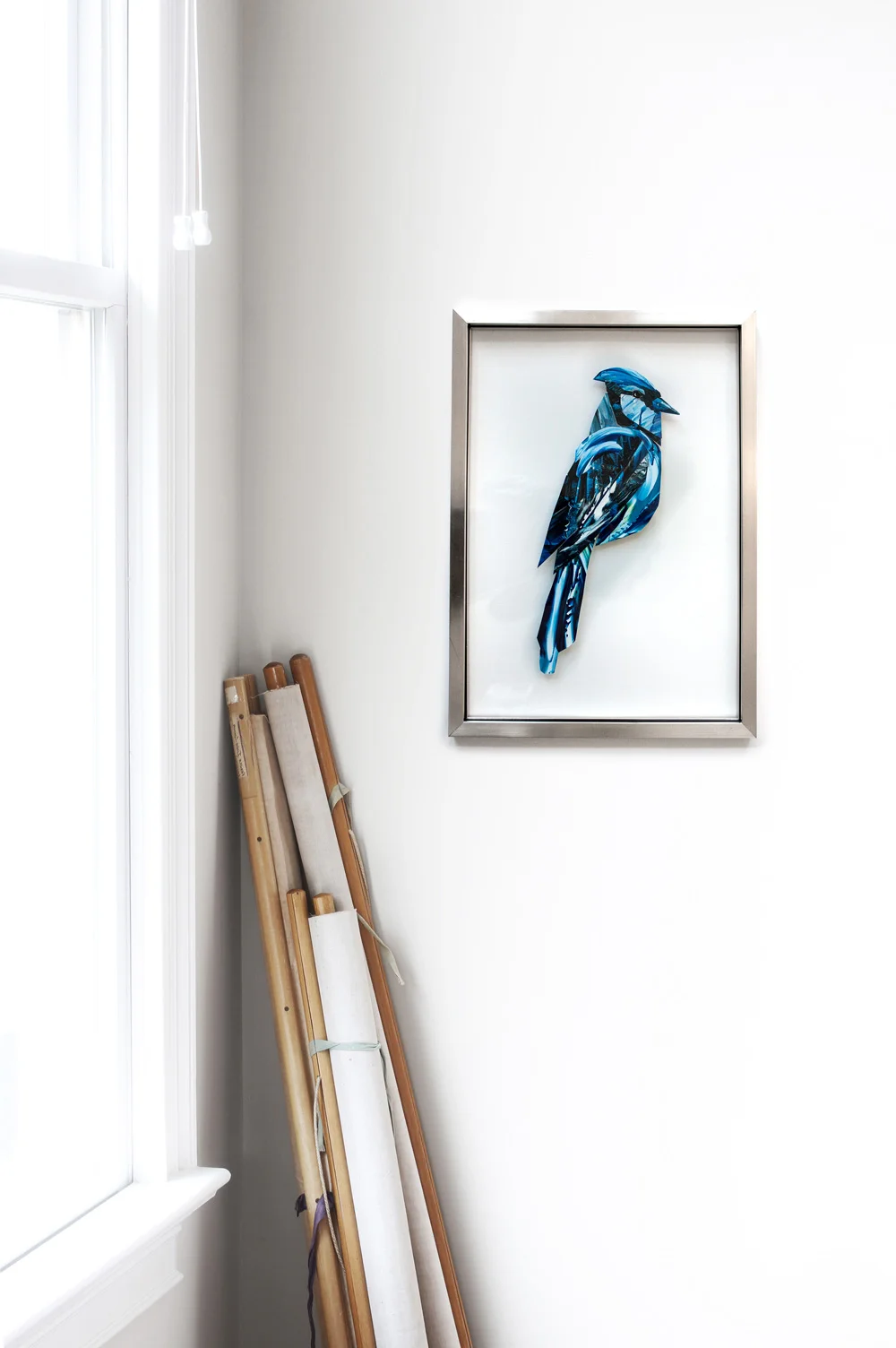 MixedMedia_ForWeb_BlueJay_Wall1.jpg