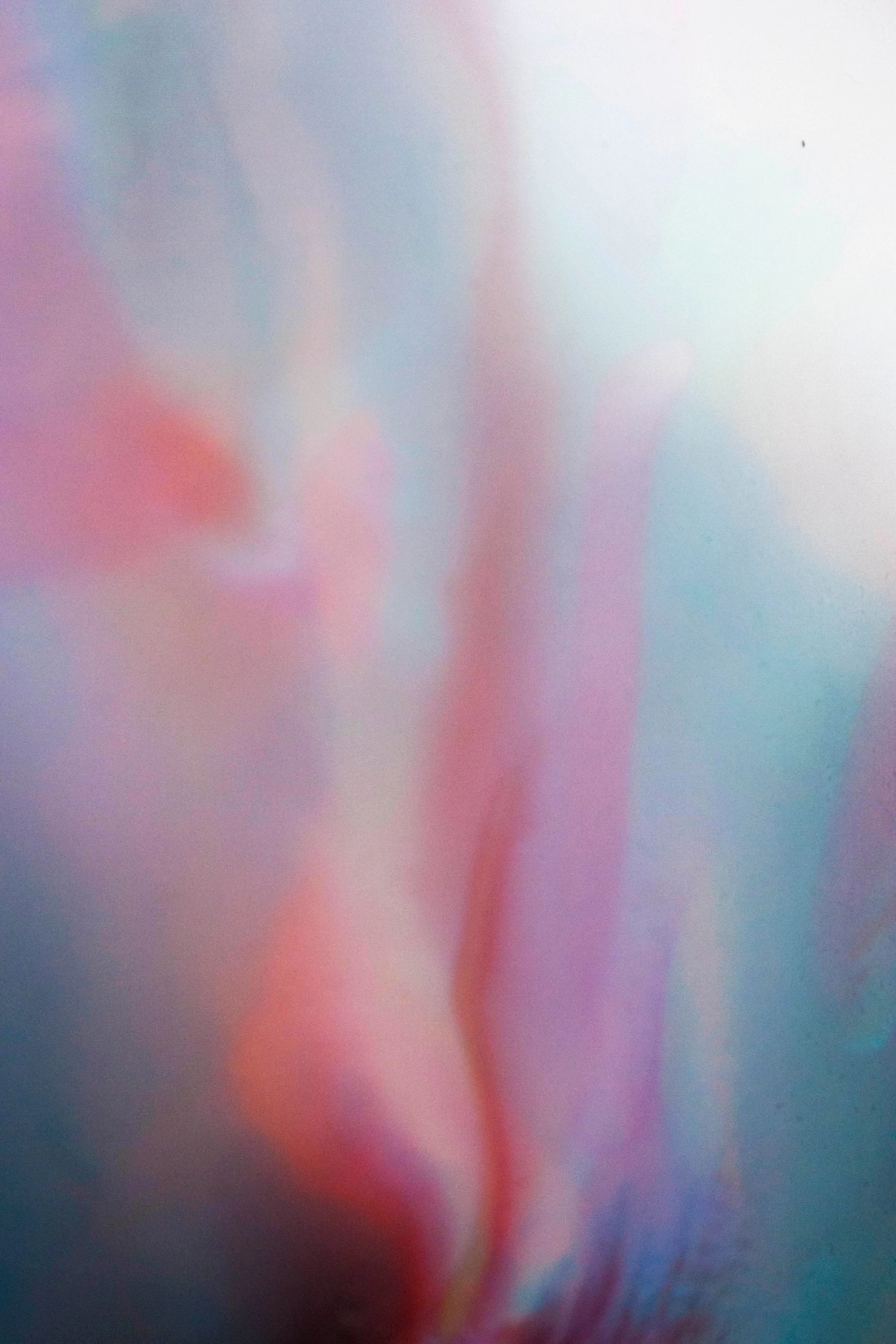 Abstract_ForWeb_BloomingPassion_3.jpg