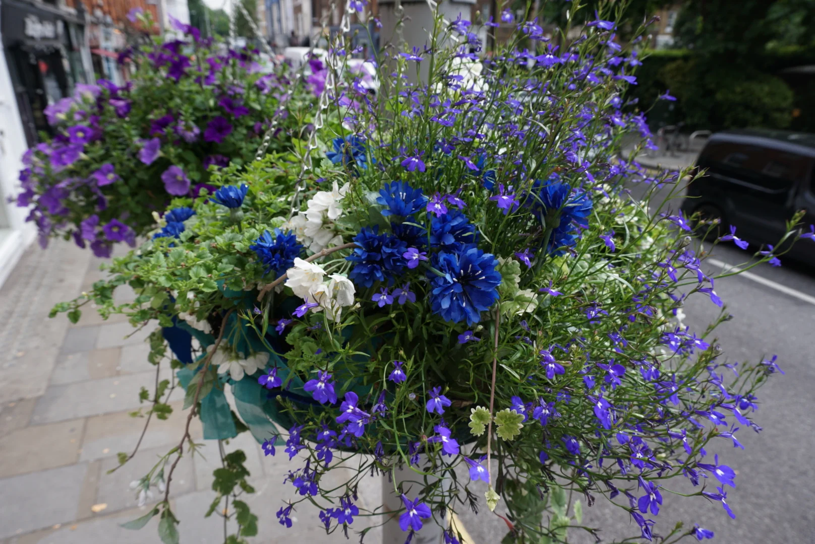 Photo 29-06-2017, 05 00 08.jpg