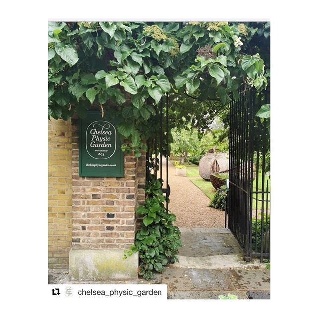 💕 #Repost @chelsea_physic_garden with @get_repost
・・・
We are very happy to announce that the Garden is now open!

There will be an hourly limit on the amount of visitors in the Garden. For this reason, we will only allow visitor entry with a valid p