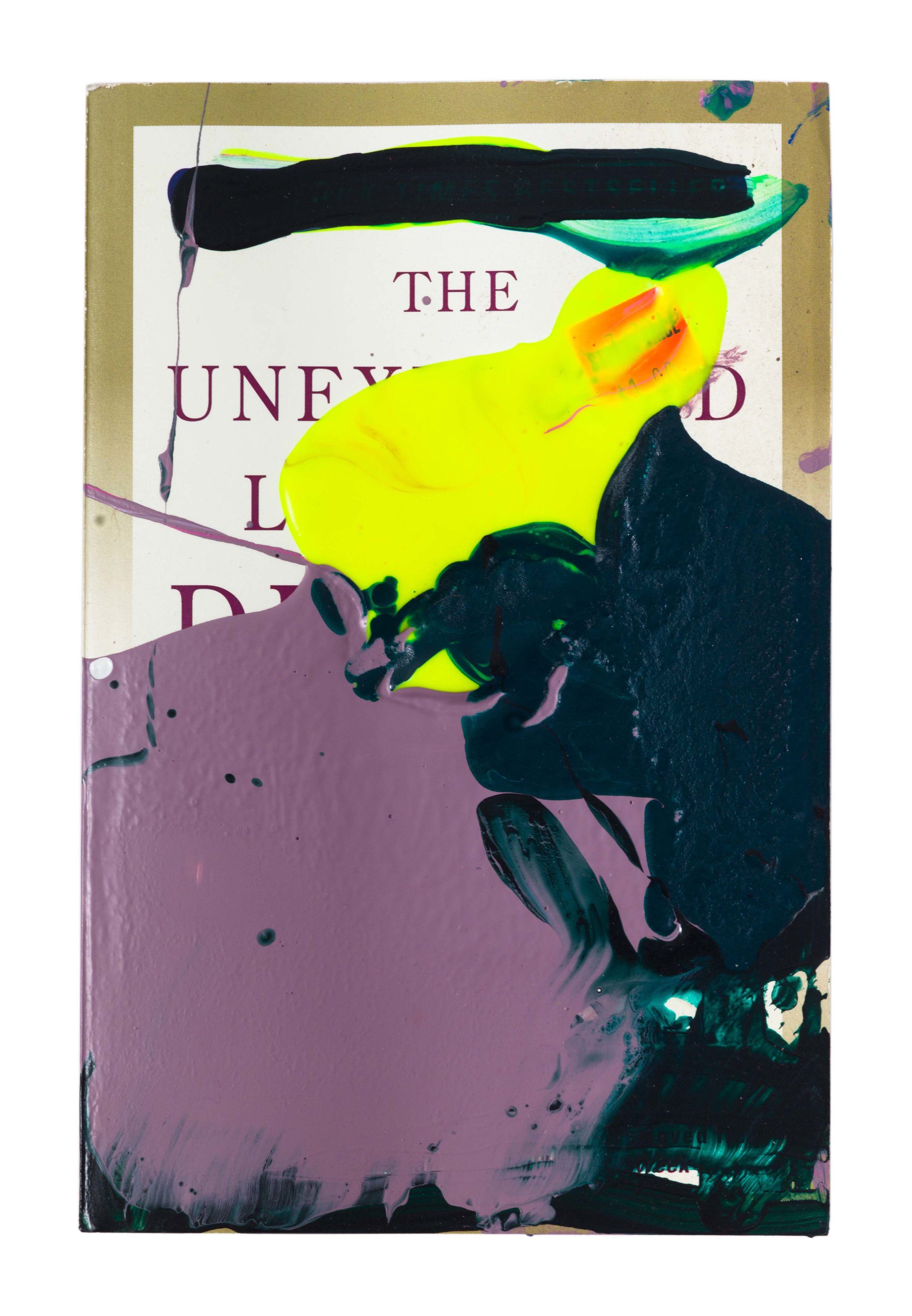  Drew Beattie and Ben Shepard  The Unexpected Legacy of Divorce  acrylic on used book 2016 8 x 5 ¼ inches 