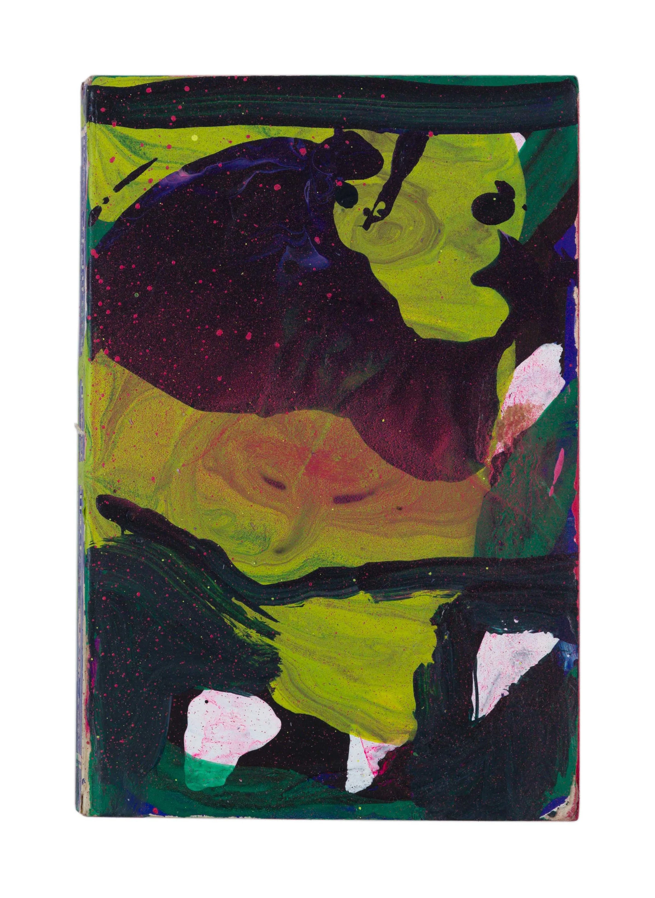 Drew Beattie and Ben Shepard Training the Mind acrylic and spray paint on used book 2016 6 x 4 ⅛ inches