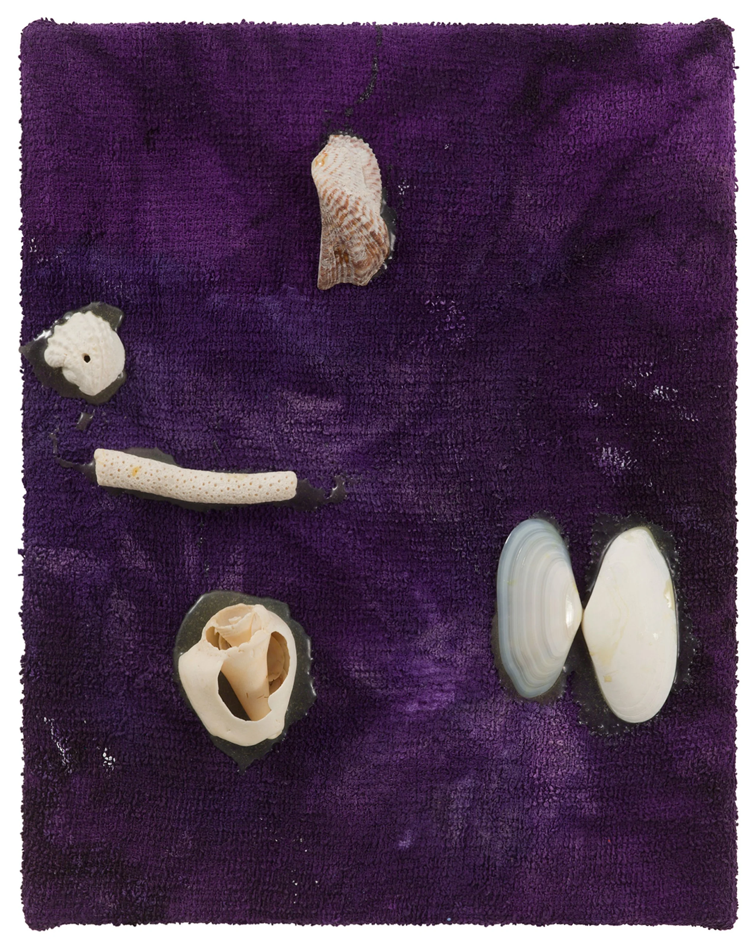  Drew Beattie  Household &nbsp; 2017 acrylic, shells and epoxy on washcloth 14 x 11 inches  