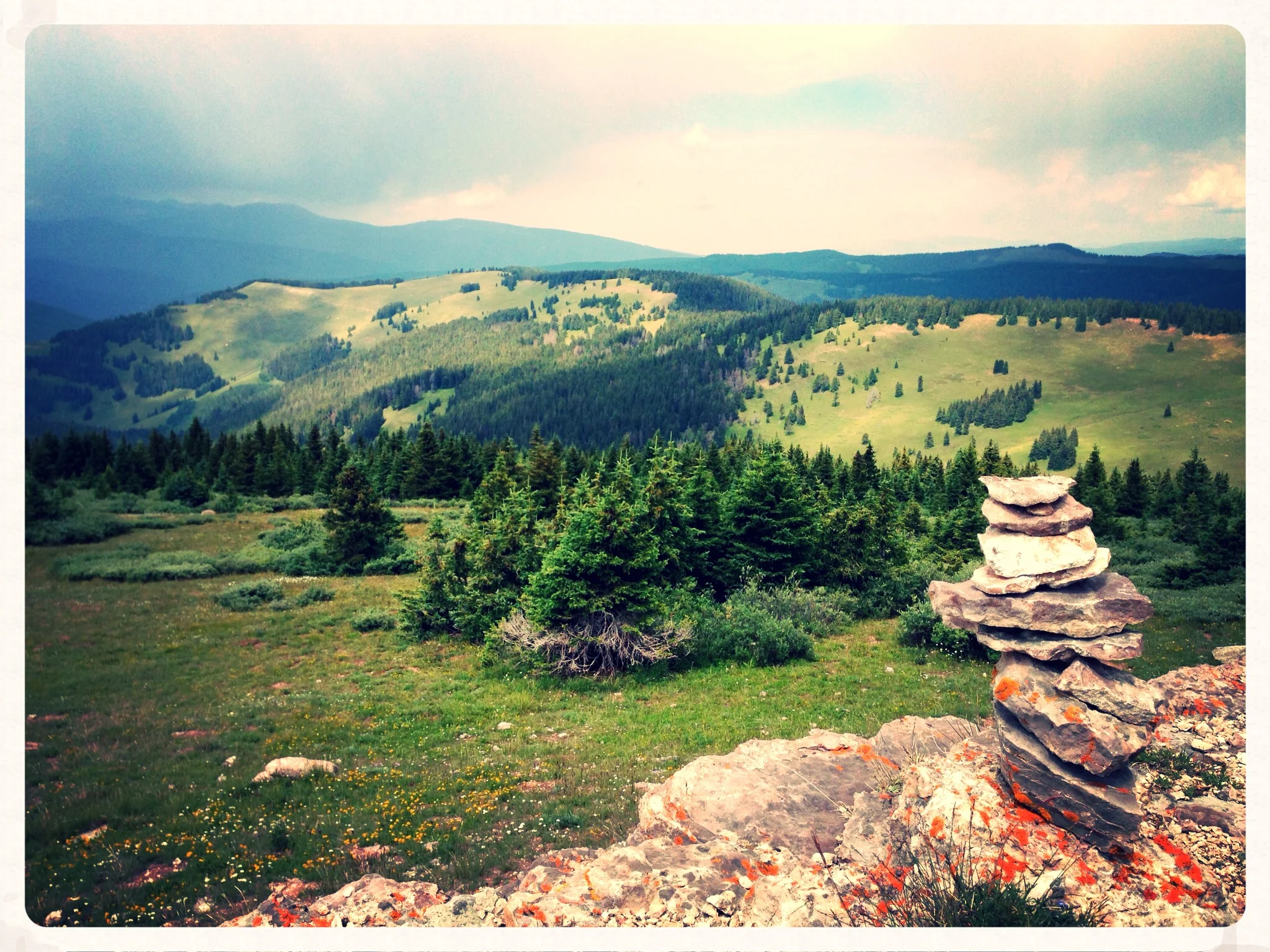 RATHER THAN SAVE THE PLANET: SAVE THE SELF.