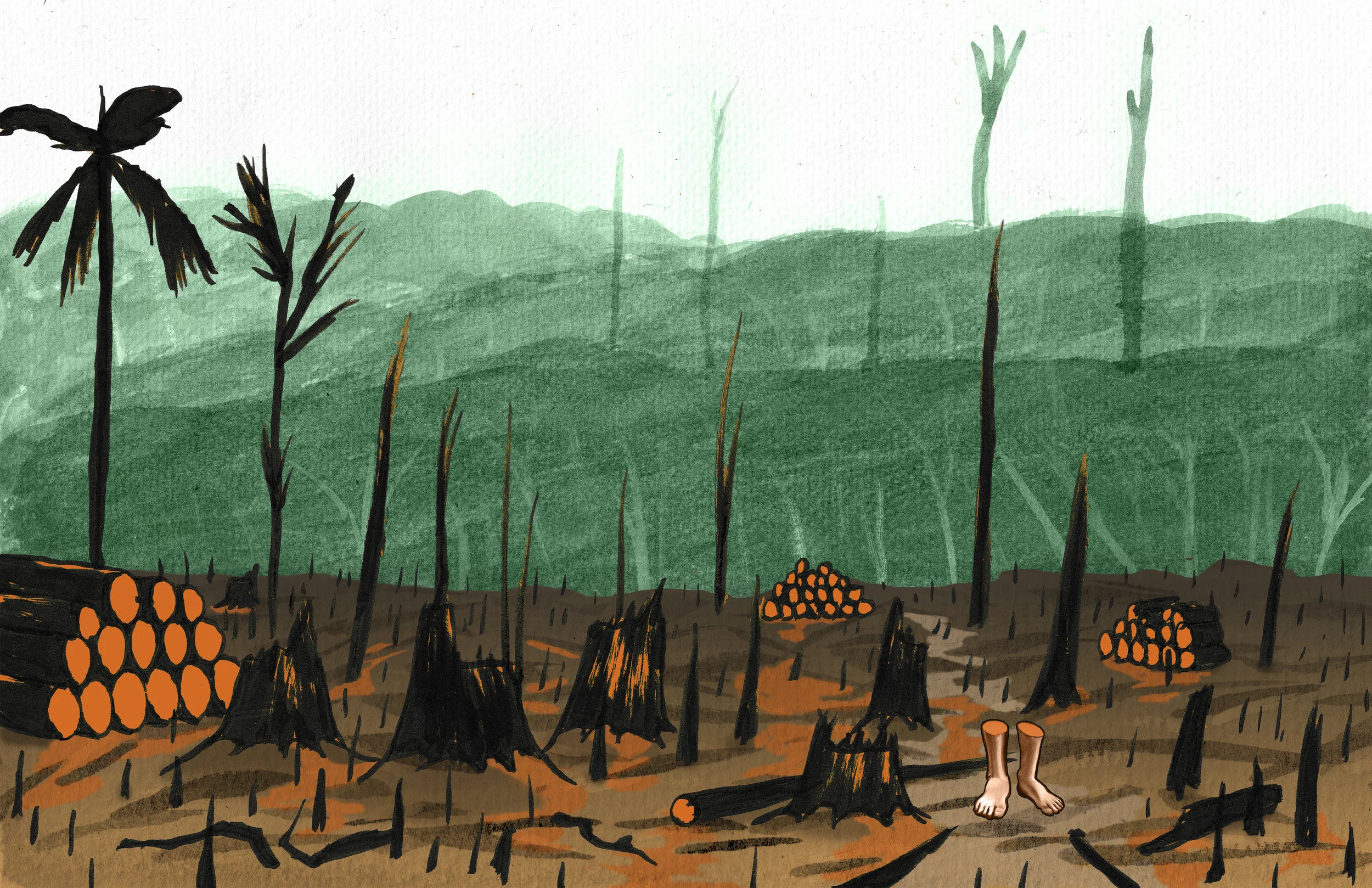 awa image 1.jpg
