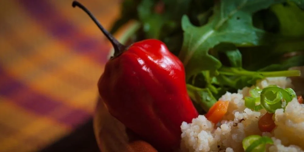 Tapas & Paella with Chop, WOK & Talk