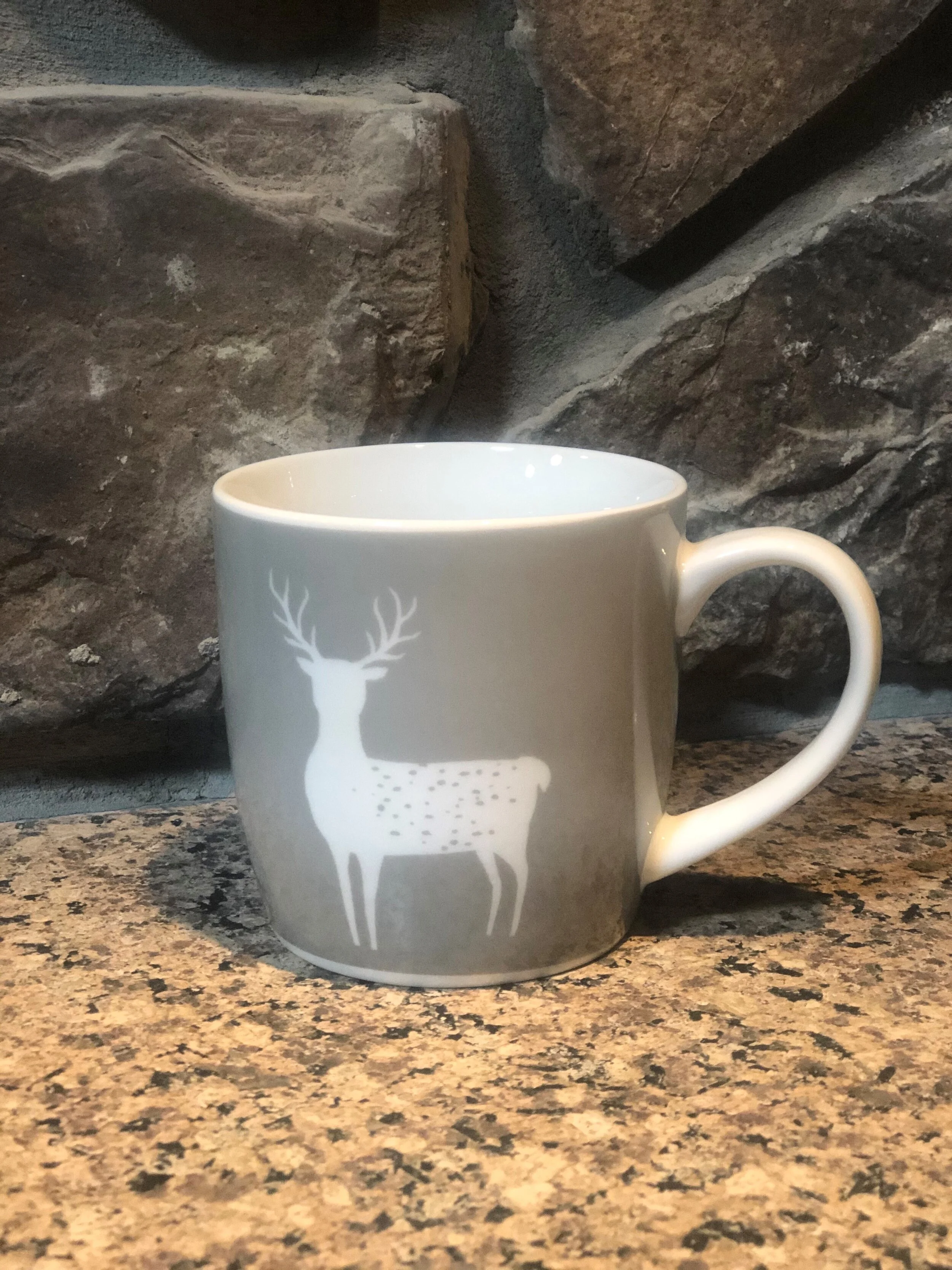 Frontier Mug