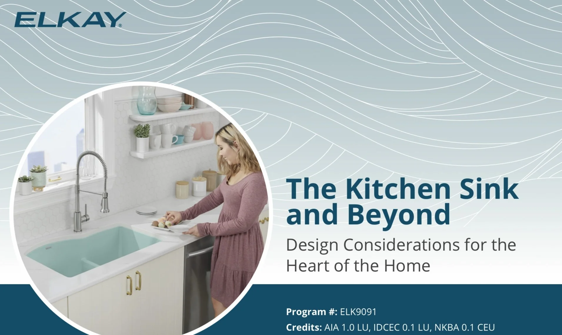 Lunch &amp; Learn:  The Kitchen Sink and Beyond (CEU)