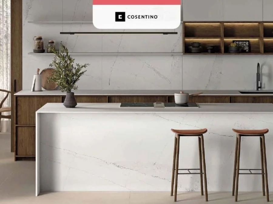 Lunch &amp; Learn:  The Future of Sustainability