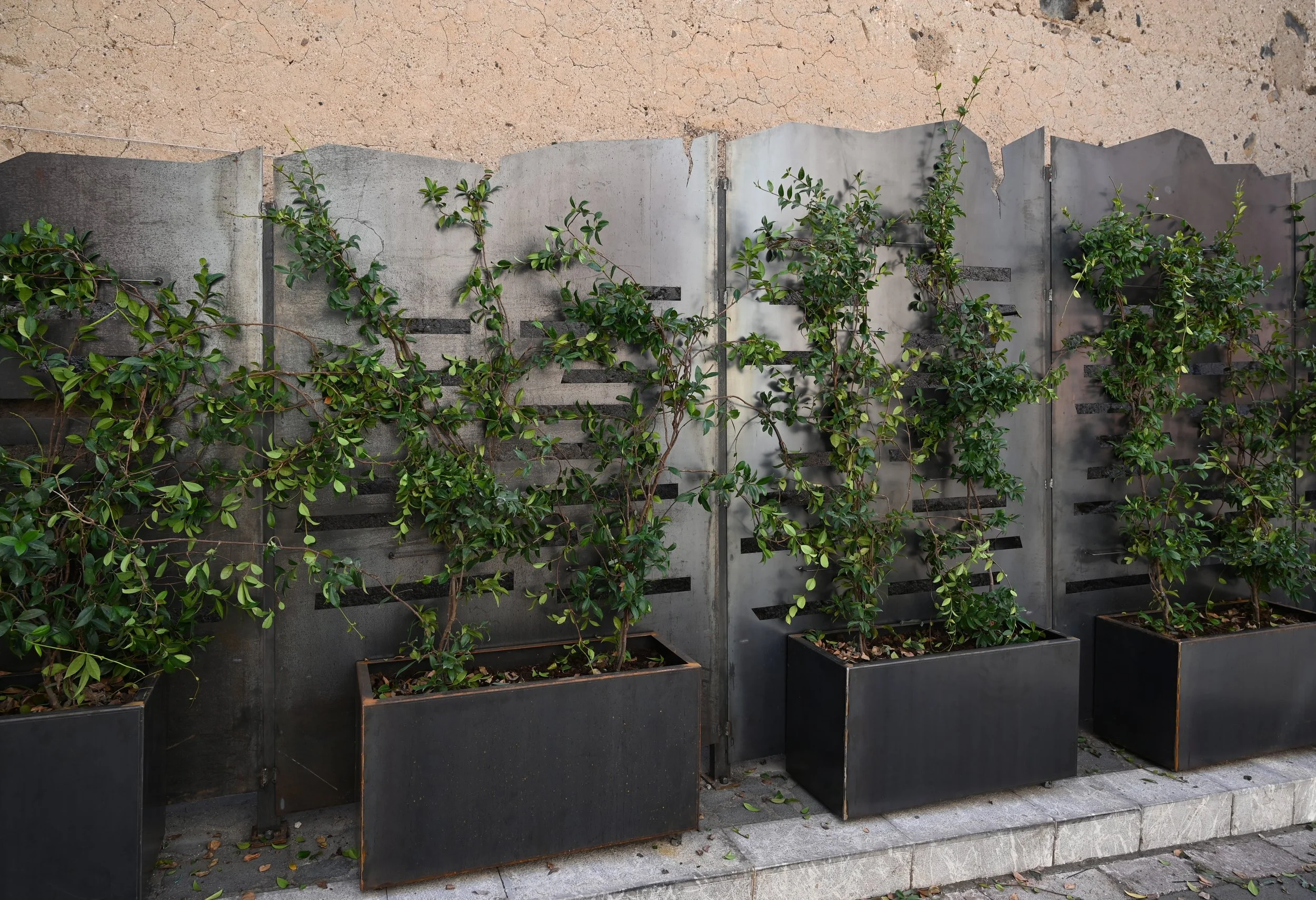 parete.vegetativa.corten.jpg