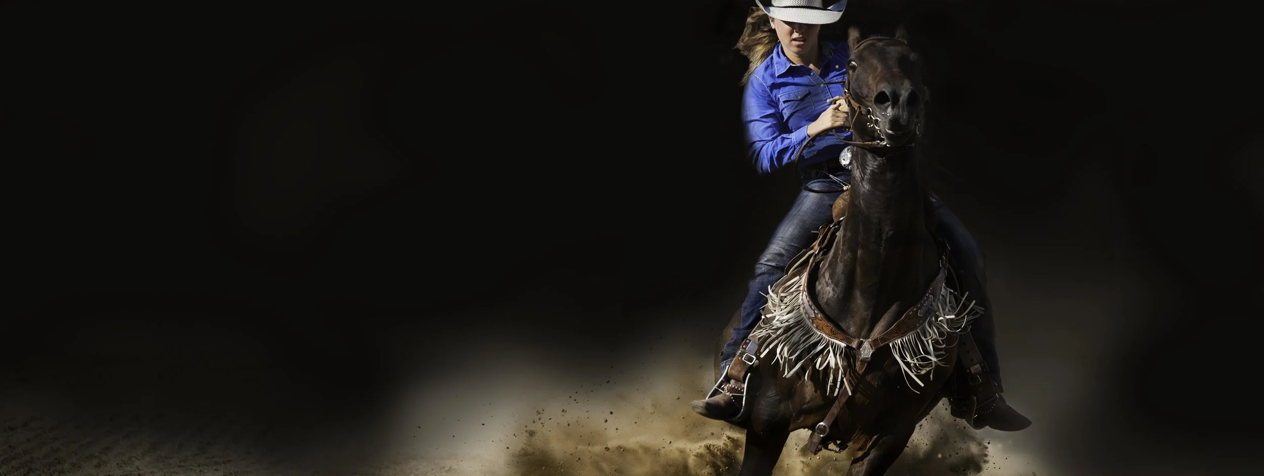 website banner3.jpg